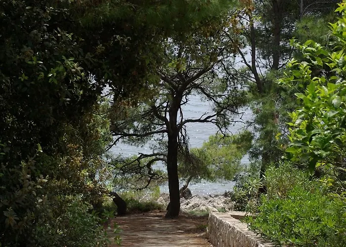 Jozica In - Insel Korcula 6371 *